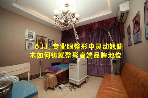 🕸 专业眼整形中灵动翘睫术如何铸就整形高端品牌地位
